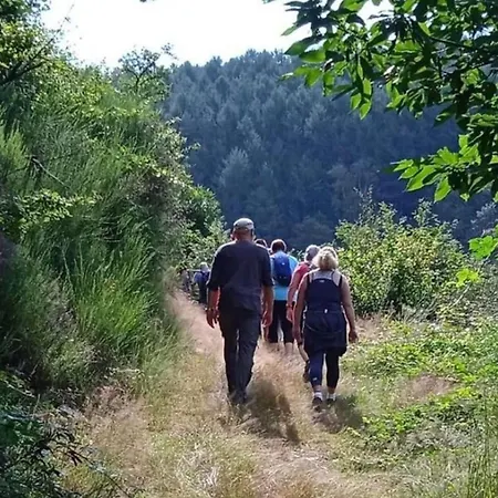 Camping Accueillant Animaux - 7 Pers. - Api-1-52-2317 *